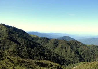 Conservation Research Fund